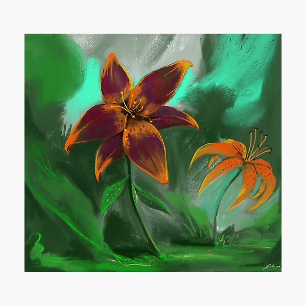 Love for Lilies Photographic Print
