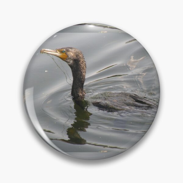 Item preview, Cormorant in the Water Photograph designed and sold by naturegallery.