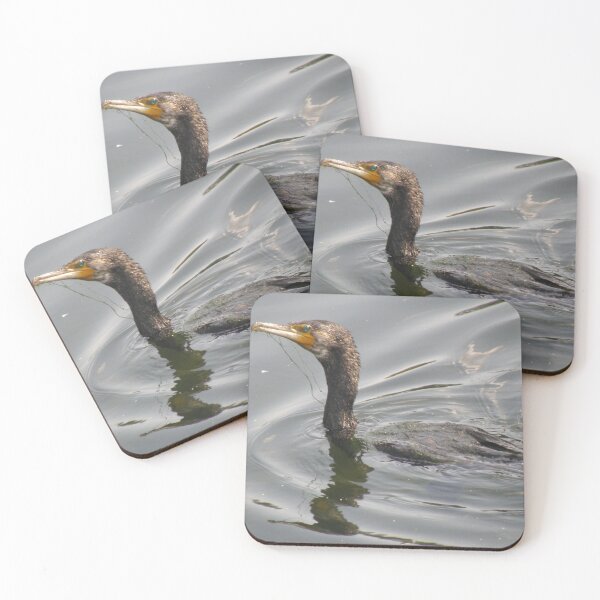 Item preview, Cormorant in the Water Photograph designed and sold by naturegallery.