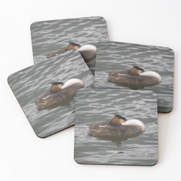 Item preview, Great Crested Grebe Preening Photograph designed and sold by naturegallery.