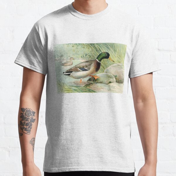 Male Mallard duck illustration Classic T-Shirt