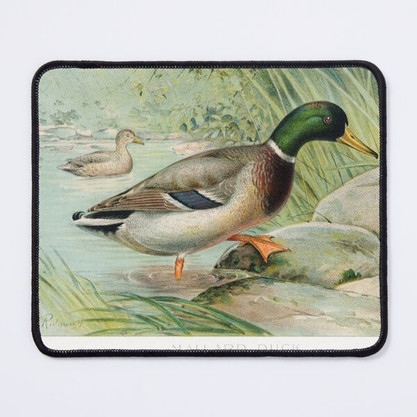 Item preview, Mallard Duck designed and sold by Sheepherder120.
