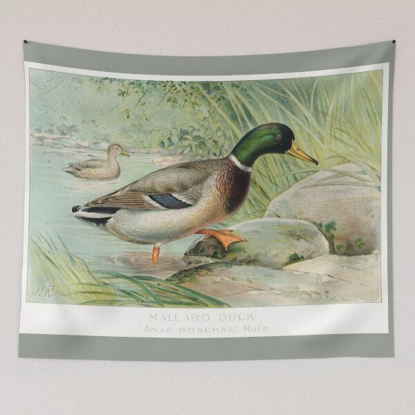 Item preview, Mallard Duck designed and sold by Sheepherder120.