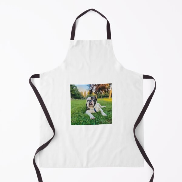 Item preview, Roscoe designed and sold by Chris Tipton.