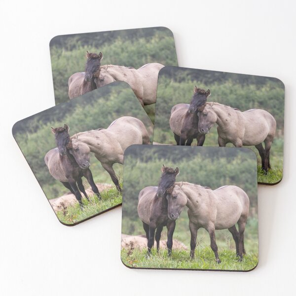 Item preview, a couple Konik Horses close together designed and sold by Ronenvief.