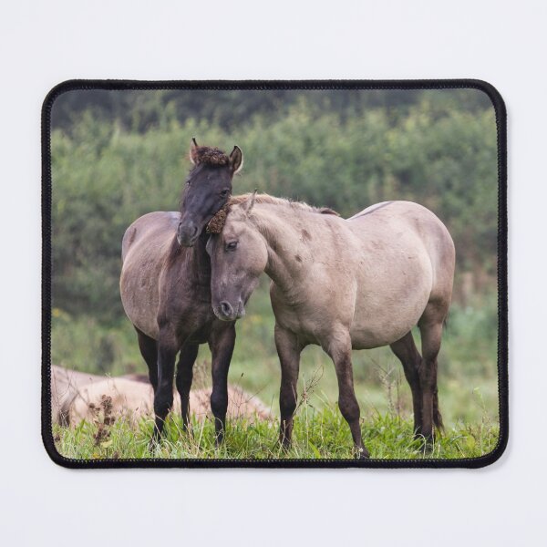 Item preview, a couple Konik Horses close together designed and sold by Ronenvief.
