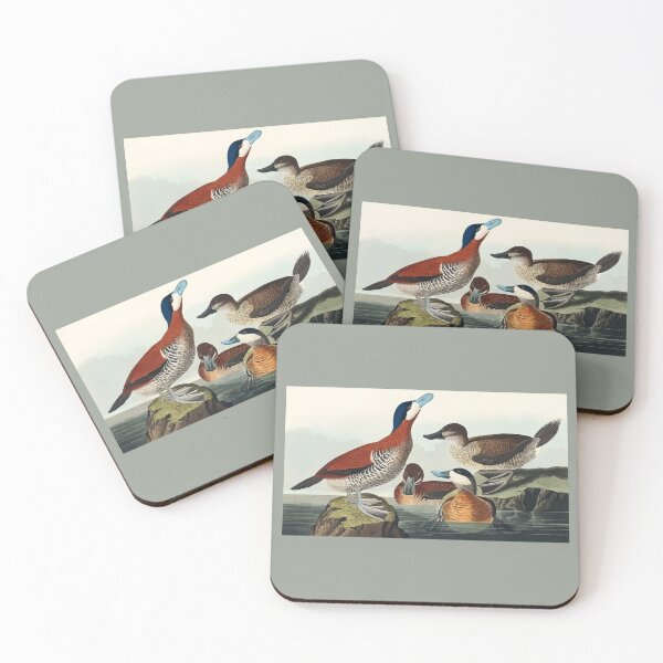Item preview, Ruddy Duck designed and sold by Sheepherder120.