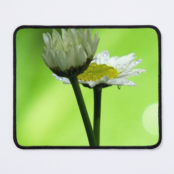 Item preview, Rainy Daisy designed and sold by Jean Gregory Evans.