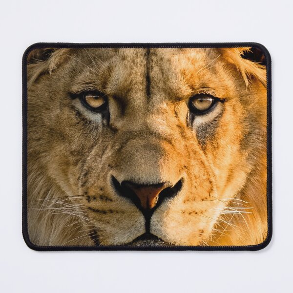 Item preview, Fierce Lion designed and sold by newburyboutique.