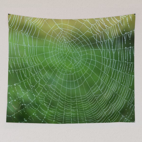 Item preview, Spider web with dew designed and sold by RafaelLima7.