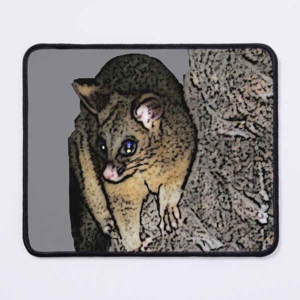 Item preview, Possum des villes designed and sold by AHELENE.