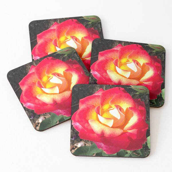 Item preview, Red and Yellow Rose Photograph designed and sold by ShirleyDee.