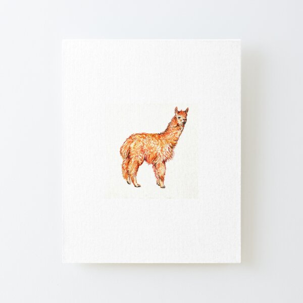 Party Llama Canvas Mounted Print