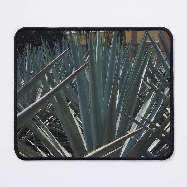 Item preview, Agave designed and sold by chameleon1998.