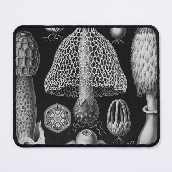 Item preview, Mushrooms- Basimycetes designed and sold by STEM-women.