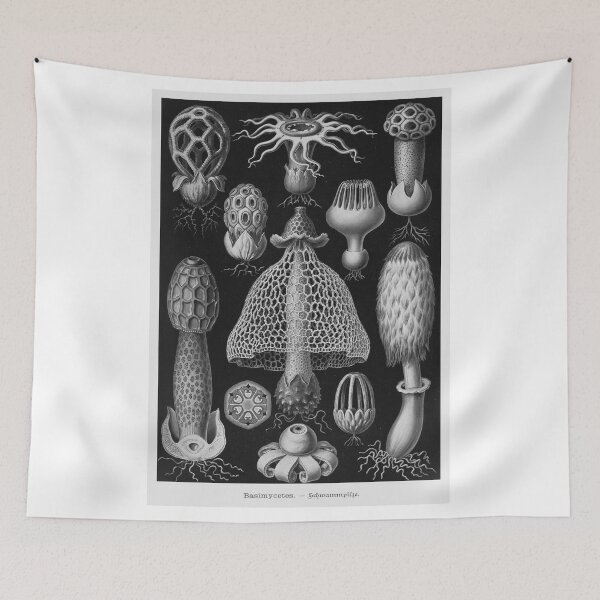 Item preview, Mushrooms- Basimycetes designed and sold by STEM-women.