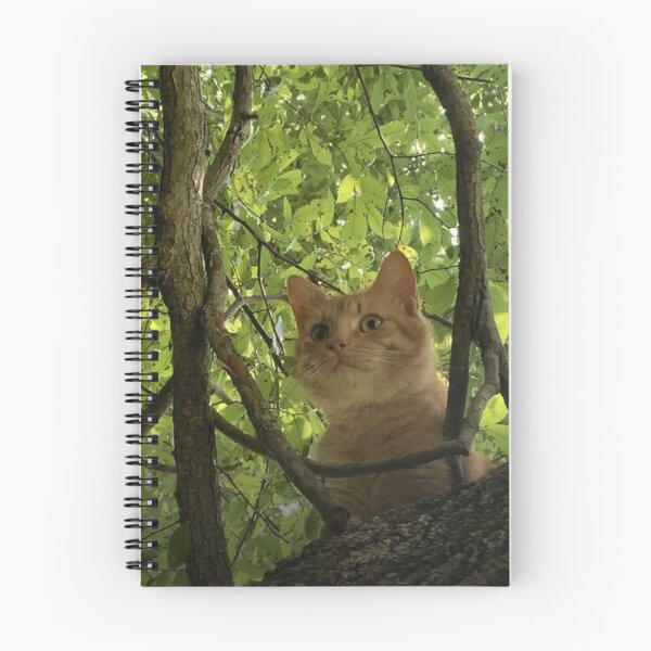 Item preview, Tree Kitty designed and sold by Sheepherder120.