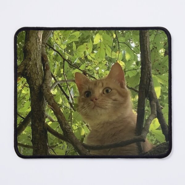 Item preview, Tree Kitty designed and sold by Sheepherder120.