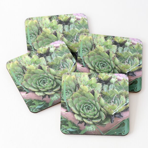 Item preview, Succulent Plants designed and sold by thequeenoffrost.