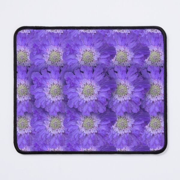 Item preview, Blue Scabious Flower Still Life Floral Photography designed and sold by CottoVerdi.