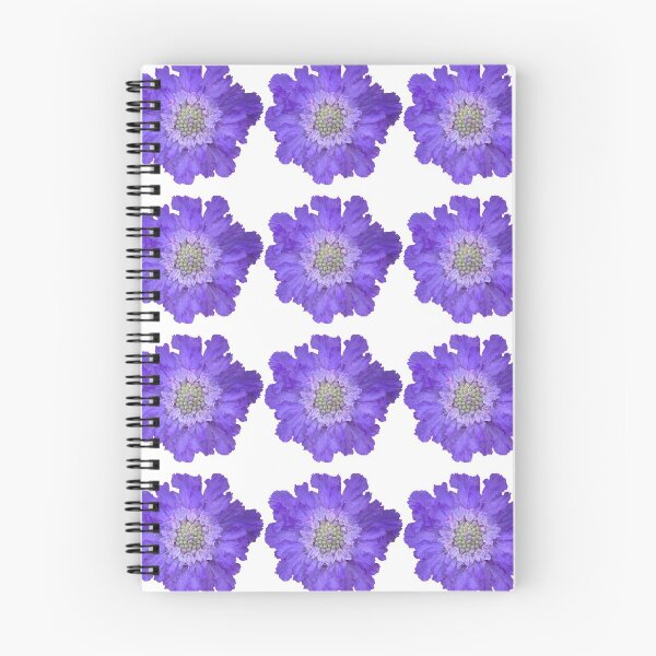 Item preview, Blue Scabious Flower Still Life Floral Photography designed and sold by CottoVerdi.