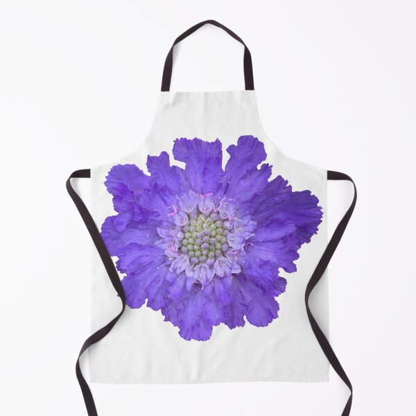 Item preview, Blue Scabious Flower Still Life Floral Photography designed and sold by CottoVerdi.