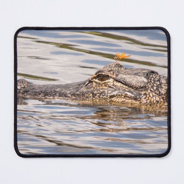 Item preview, Dragonfly On Alligator's Head designed and sold by Zina Stromberg.