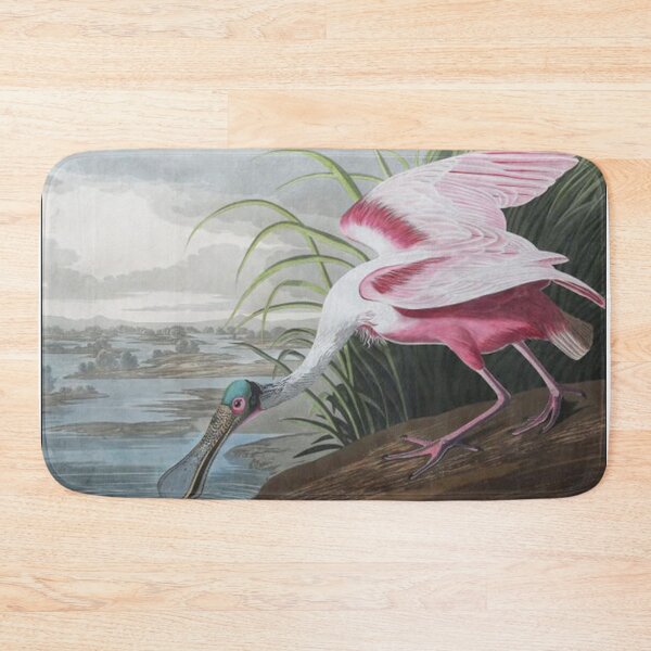 Item preview, Bird of America - John James Audubon  designed and sold by ForgottenDomain.