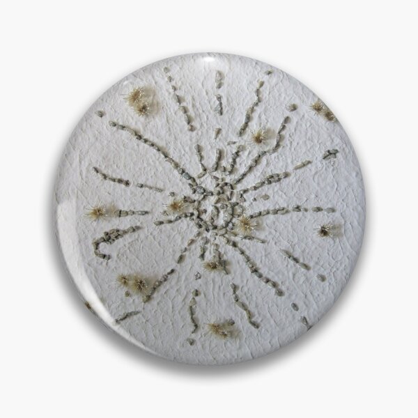 Item preview, Alberta Medicine Wheel designed and sold by Earthwayart.