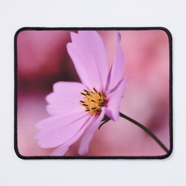 Item preview, The Pink Daisy designed and sold by RafaelLima7.