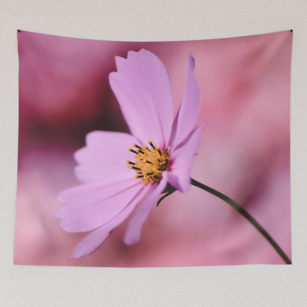 Item preview, The Pink Daisy designed and sold by RafaelLima7.