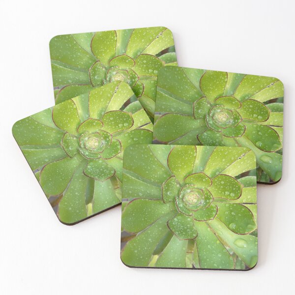 Item preview, Wet Moist Succulent designed and sold by AmazedGrace.