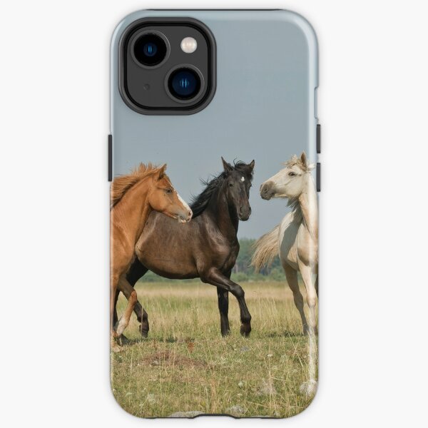 Beautiful Wild Horses iPhone Tough Case