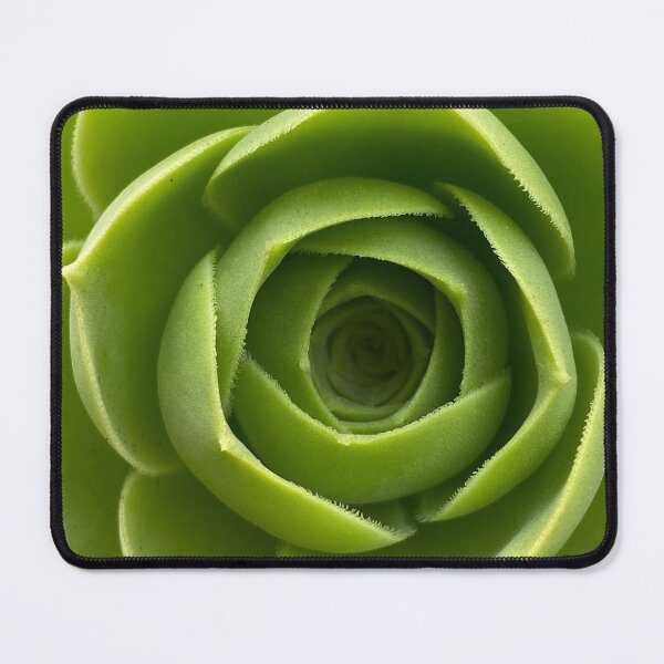 Item preview, Deep Hole Succulent designed and sold by AmazedGrace.