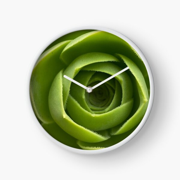 Deep Hole Succulent Clock