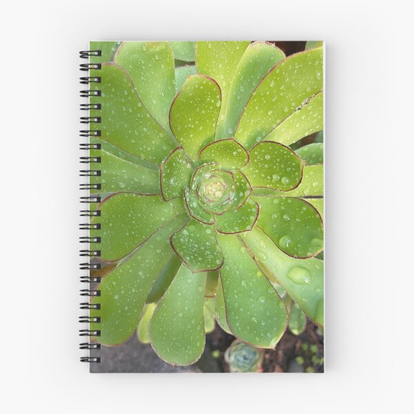 Item preview, Wet Moist Succulent designed and sold by AmazedGrace.