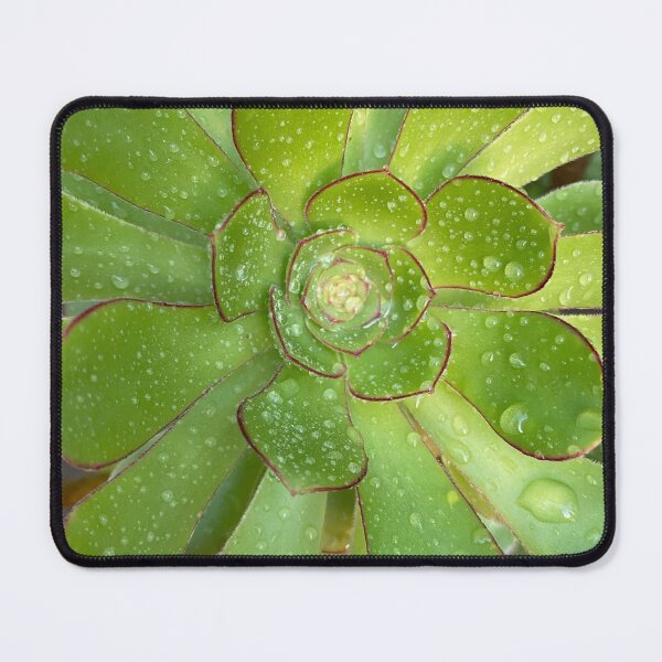 Item preview, Wet Moist Succulent designed and sold by AmazedGrace.