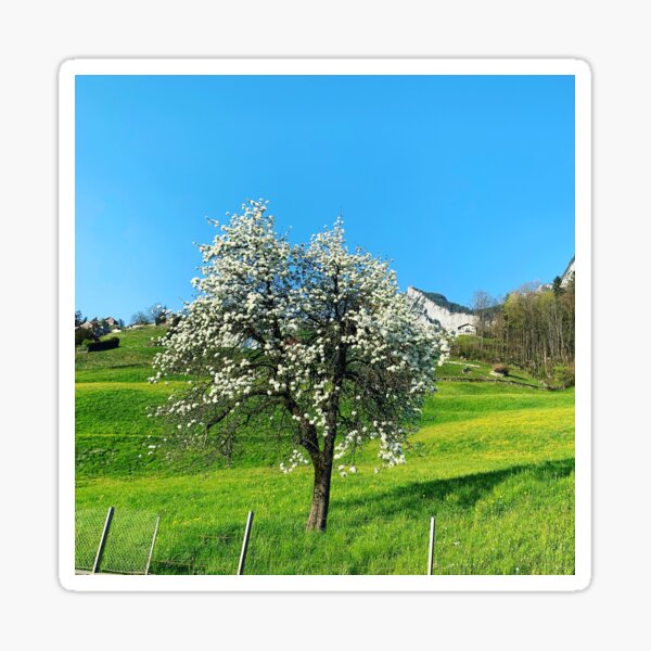 Item preview, An apple flowers are blooming in summer.  designed and sold by Dellale17.