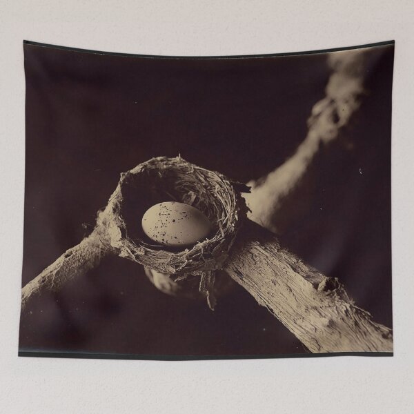 Item preview, Nest of lemon breasted flycatcher designed and sold by Night-parade.