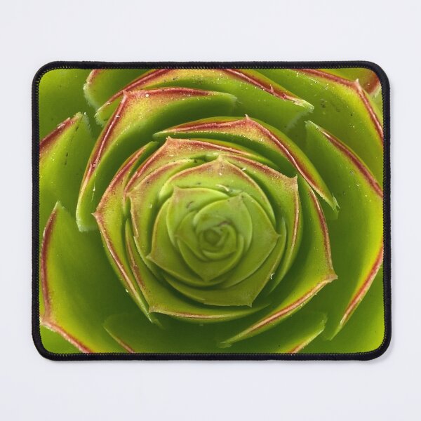 Item preview, Just the Tip Succulent designed and sold by AmazedGrace.