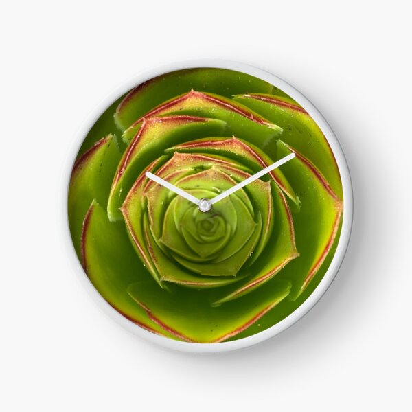 Just the Tip Succulent Clock