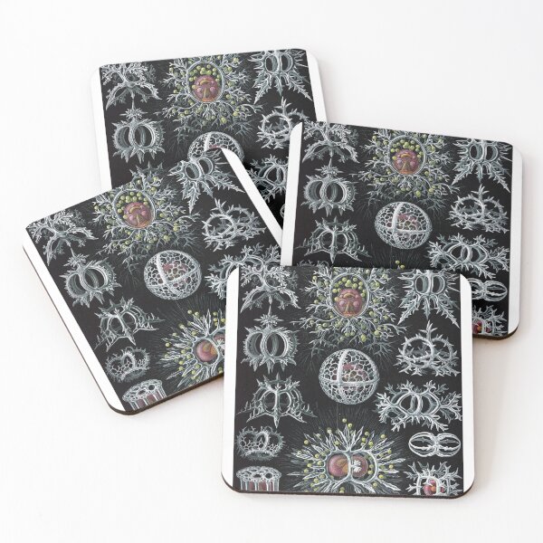 Item preview, Ernst Haeckel's interpretation of Stephoidea designed and sold by STEM-women.