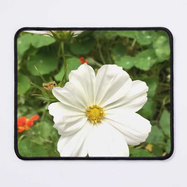 Item preview, White flower designed and sold by Jenie Yolland.