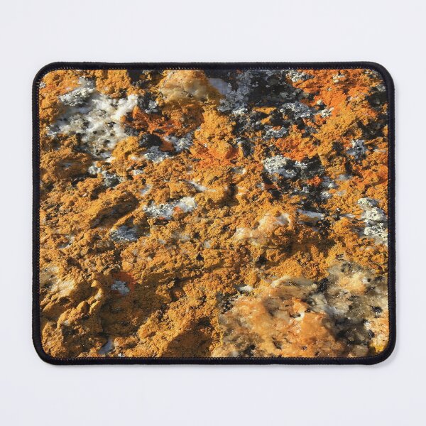 Item preview, Orange Lichen on Beach Rocks, Musselroe Bay Tasmania designed and sold by Jenie Yolland.