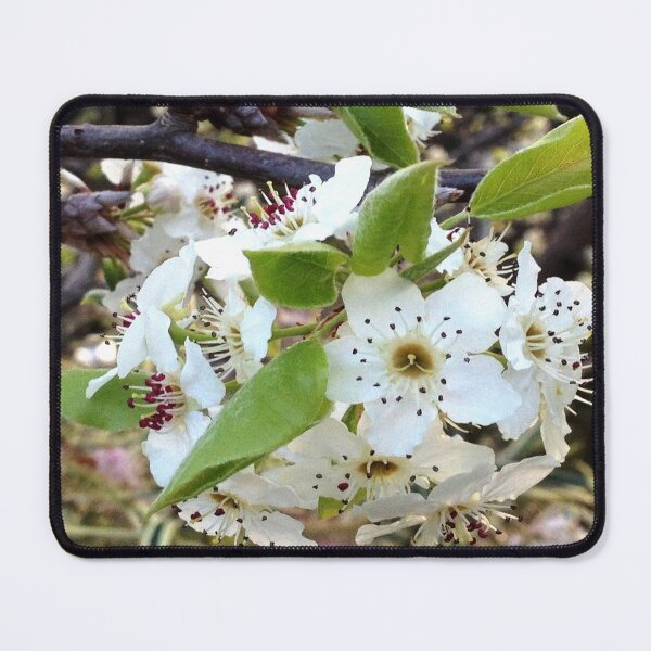 Item preview, Apple blossom designed and sold by Jenie Yolland.