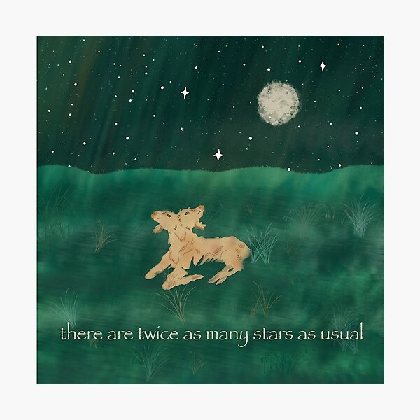 Twice As Many Stars W Text Photographic Print For Sale By Bybrooklynrose Redbubble