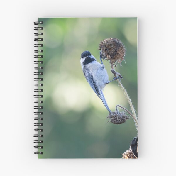 Item preview, Black-capped Chickadee 2021-1 designed and sold by Thomasyoung.