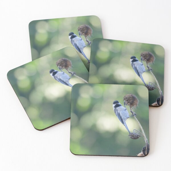 Item preview, Black-capped Chickadee 2021-1 designed and sold by Thomasyoung.