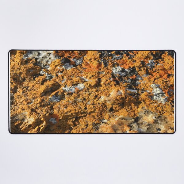 Item preview, Orange Lichen on Beach Rocks, Musselroe Bay Tasmania designed and sold by Jenie Yolland.