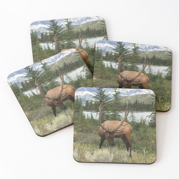 Item preview, Fauna silvestre designed and sold by DaisyMaePrints.